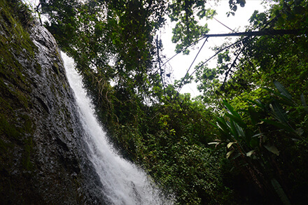 Charcos y cascadas la paila de lilia